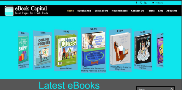 e-Book Capital Store  WordPress Website