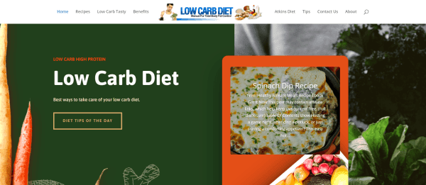 Low Carb Diet WordPress Blog Great for AdSense ads