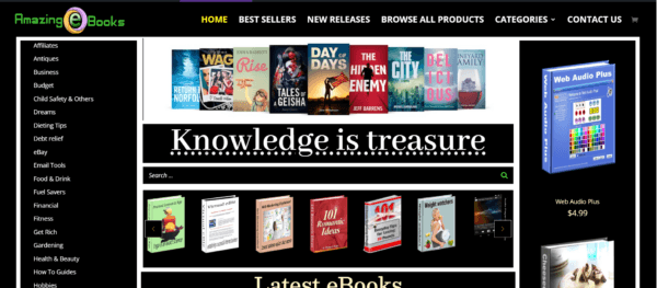 Amazing eBooks Store WordPress website