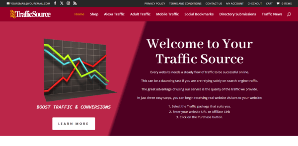 Traffic Source shop WordPress Website